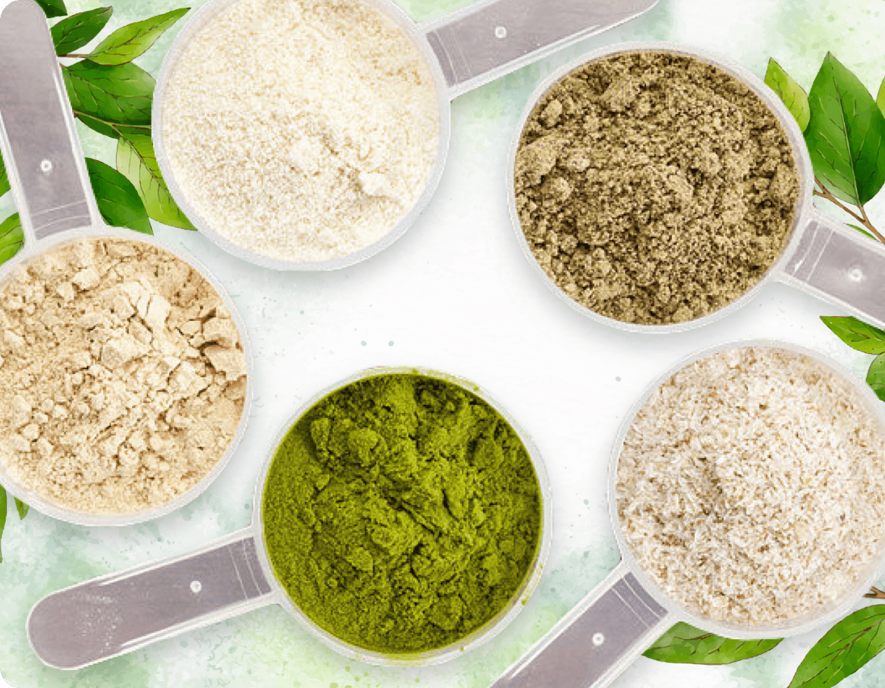 ProDentim proprietary blend of plants and minerals